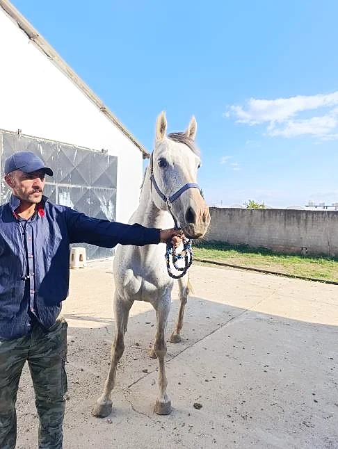 ESENNUR